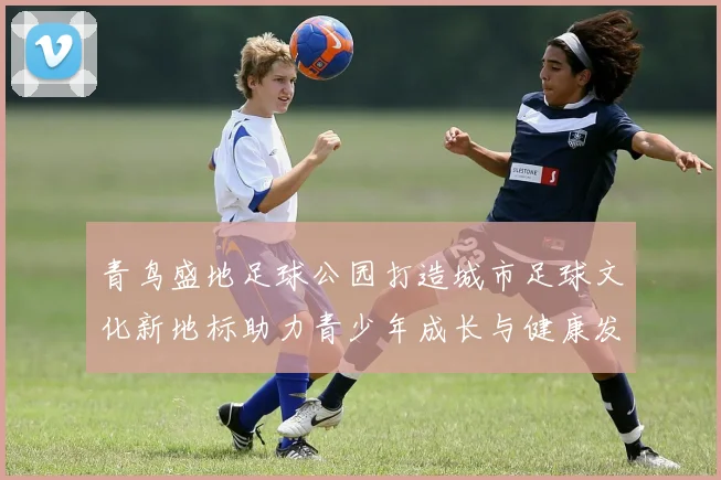 青鸟盛地足球公园打造城市足球文化新地标助力青少年成长与健康发展