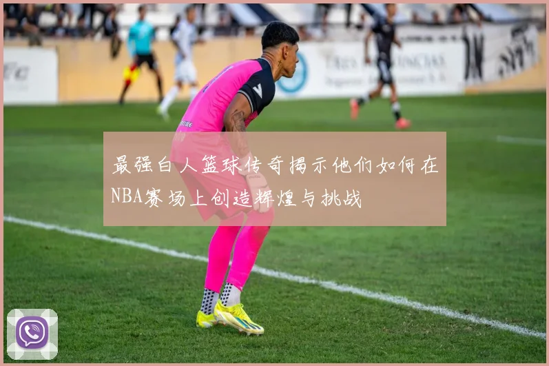 最强白人篮球传奇揭示他们如何在NBA赛场上创造辉煌与挑战