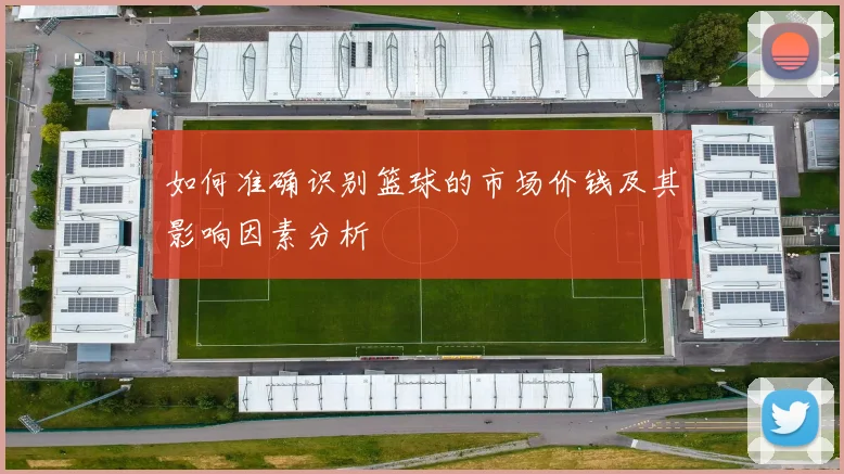 如何准确识别篮球的市场价钱及其影响因素分析