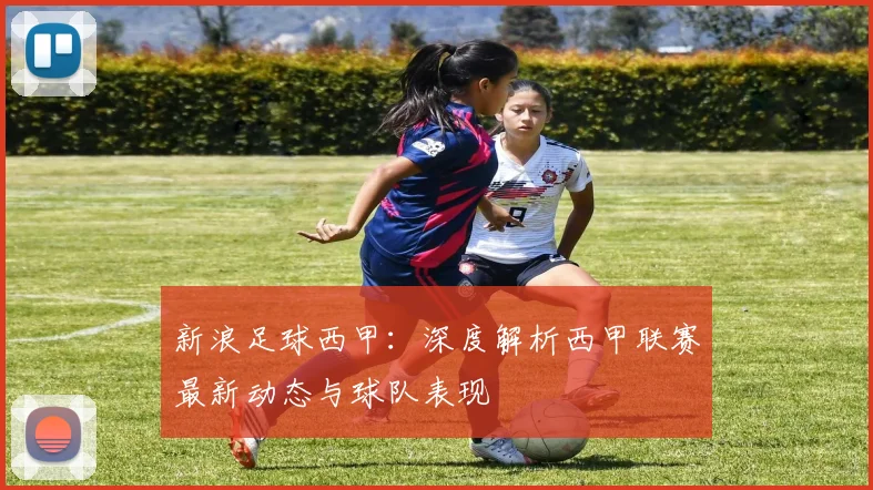 新浪足球西甲：深度解析西甲联赛最新动态与球队表现