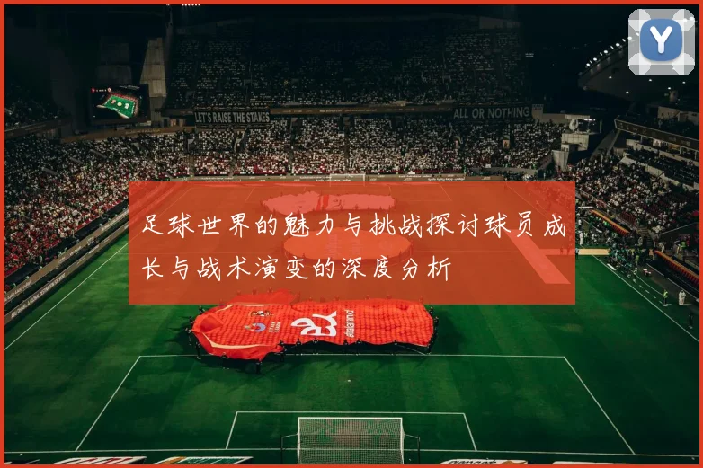 足球世界的魅力与挑战探讨球员成长与战术演变的深度分析