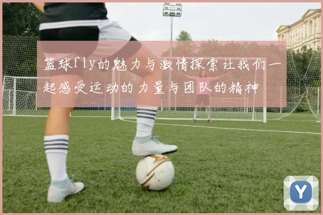 篮球fly的魅力与激情探索让我们一起感受运动的力量与团队的精神