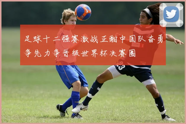 足球十二强赛激战正酣中国队奋勇争先力争晋级世界杯决赛圈